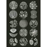 Pepin Labels, stickers & tape Sticker book - Art forms in nature - 4 - Pepin Press - Tidformera
