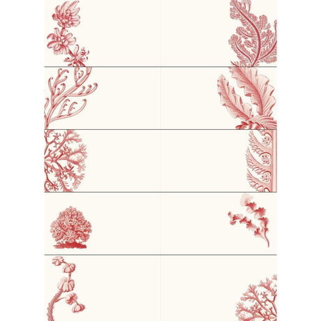 Pepin Labels, stickers & tape Sticker book - Art forms in nature - 5 - Pepin Press - Tidformera
