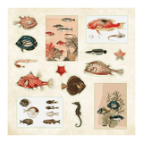 Poseidon's Kingdom - Sticker book - 3 - Peter Pauper Press - Tidformera