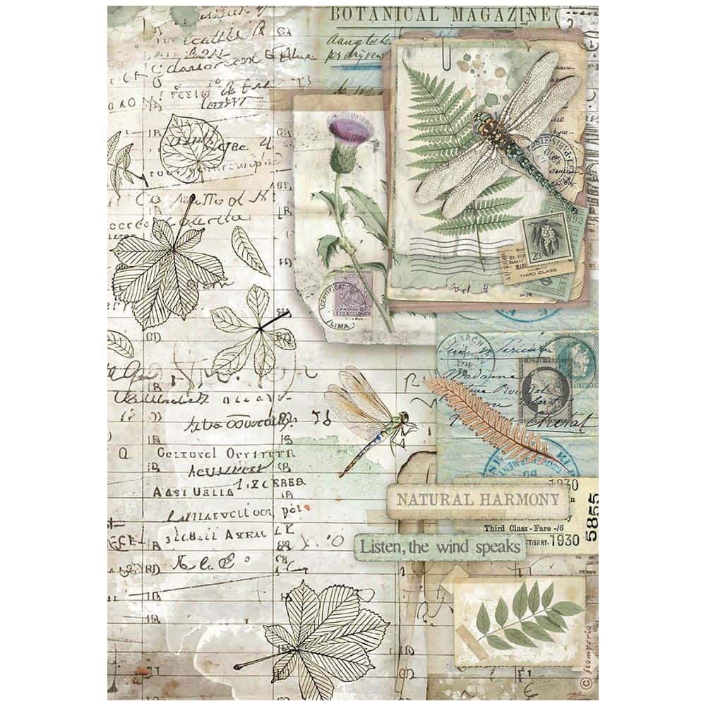 Rice Paper A4 - Herbarium Silvae - 6 - pack - 3 - Stamperia - Tidformera