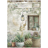 Rice Paper A4 - Herbarium Silvae - 6 - pack - 1 - Stamperia - Tidformera