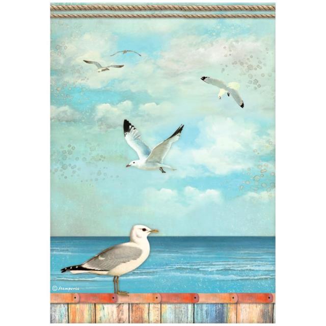 Rice Paper A4 Seagull - 1 - Stamperia - Tidformera