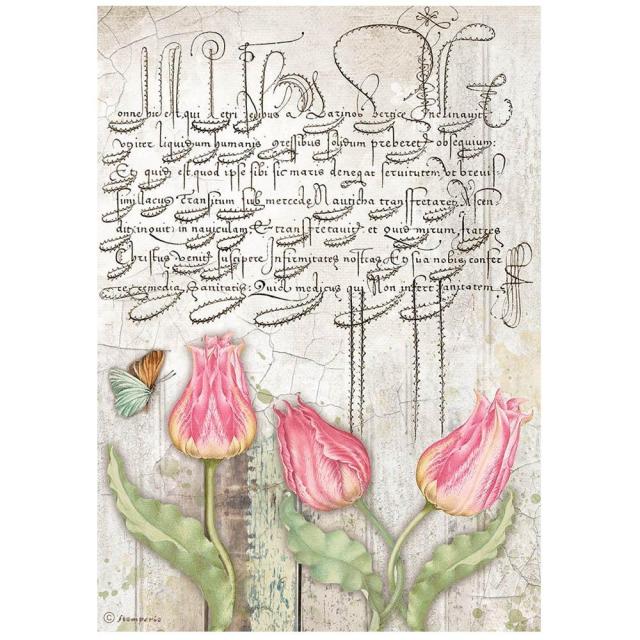 Rice Paper A4 Tulip - 1 - Stamperia - Tidformera