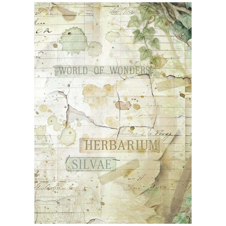 Rice Paper A6 - Herbarium Silvae - Backgrounds - 8 - pack - 3 - Stamperia - Tidformera