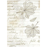 Rice Paper A6 - Herbarium Silvae - Backgrounds - 8 - pack - 5 - Stamperia - Tidformera