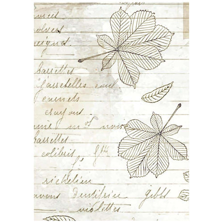 Rice Paper A6 - Herbarium Silvae - Backgrounds - 8 - pack - 5 - Stamperia - Tidformera
