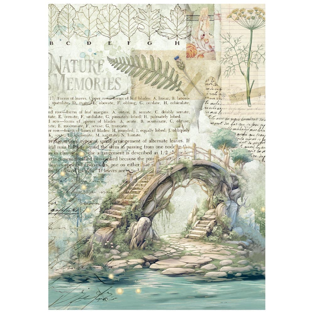 Rice Paper A6 - Herbarium Silvae - Mini - 8 - pack - 9 - Stamperia - Tidformera