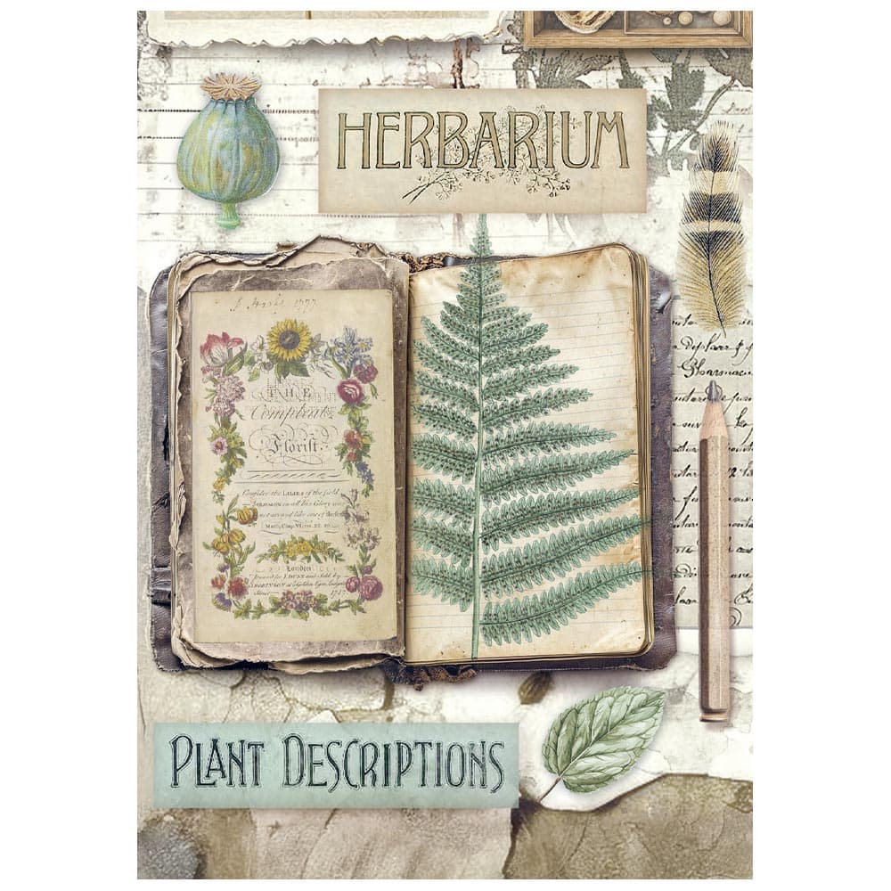 Rice Paper A6 - Herbarium Silvae - Mini - 8 - pack - 6 - Stamperia - Tidformera