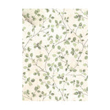 Rice Paper A6 - House of Roses - 8 - pack - 8 - Stamperia - Tidformera