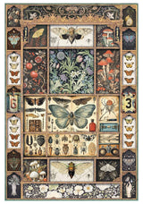 Rice Paper Art set - A4 - 4 - pack - Cabinet of Curiosities - 5 - Ciao Bella - Tidformera