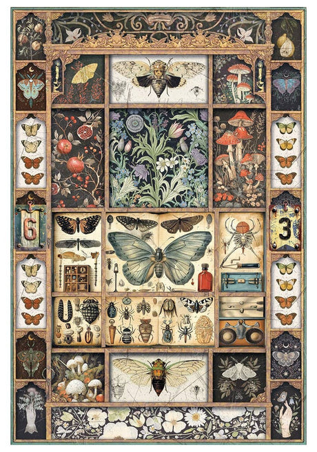 Rice Paper Art set - A4 - 4 - pack - Cabinet of Curiosities - 5 - Ciao Bella - Tidformera