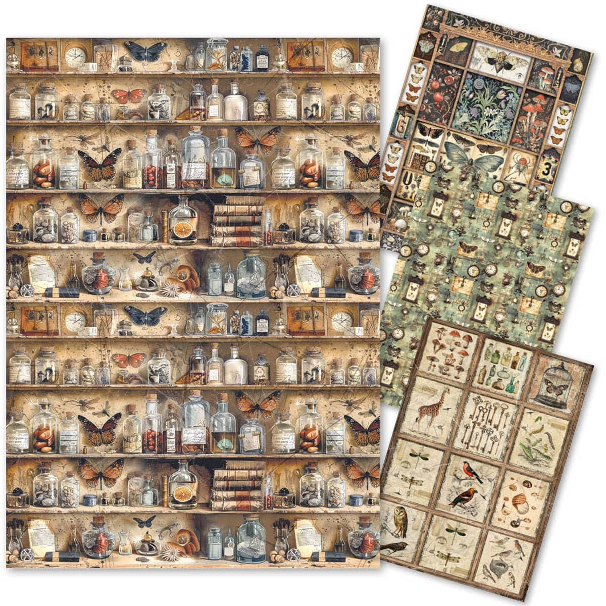 Rice Paper Art set - A4 - 4 - pack - Cabinet of Curiosities - 1 - Ciao Bella - Tidformera