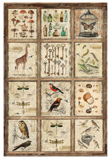 Rice Paper Art set - A4 - 4 - pack - Cabinet of Curiosities - 3 - Ciao Bella - Tidformera
