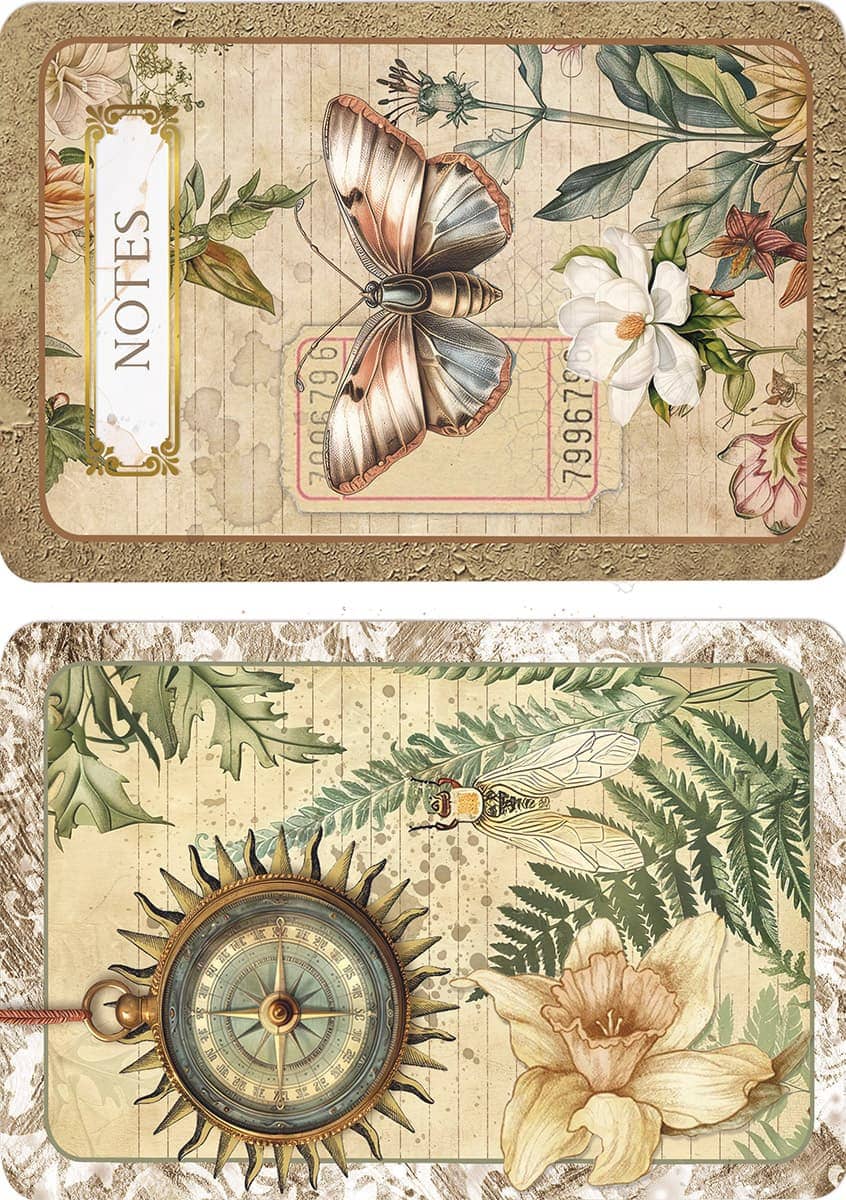 Rice Paper Art set - A5 - 8 - pack - Cabinet of Curiosities - 2 - Ciao Bella - Tidformera