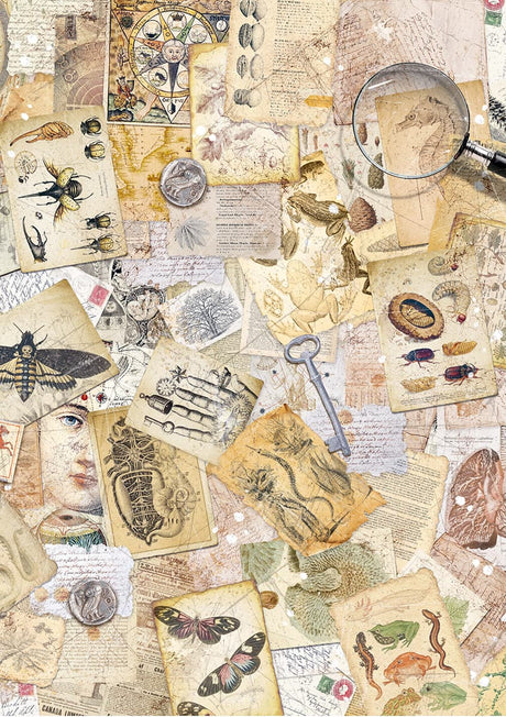 Rice Paper Art set - A5 - 8 - pack - Cabinet of Curiosities - 9 - Ciao Bella - Tidformera
