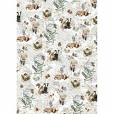 Rice Paper Art set - A5 - 8 - pack - Forest Tales - 9 - Ciao Bella - Tidformera