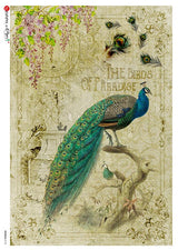 Rice Paper Decoupage - A5 - Animals 0125 - 1 - Paper Designs - Tidformera