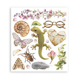 Rub - On Selection 20,5 x 23 cm - All Around - 4 - Stamperia - Tidformera