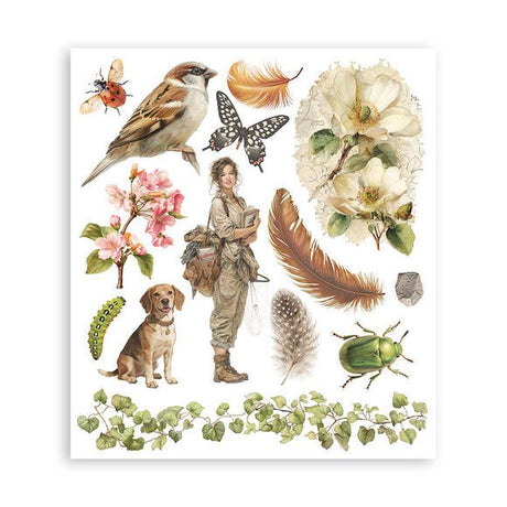 Rub - On Selection 20,5 x 23 cm - All Around - 2 - Stamperia - Tidformera