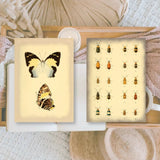 Scrap Paper 7,4 x 10,5 - Vintage Insects - 5 - Plan & Plot Studio - Tidformera