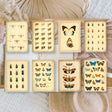 Scrap Paper 7,4 x 10,5 - Vintage Insects - 1 - Plan & Plot Studio - Tidformera