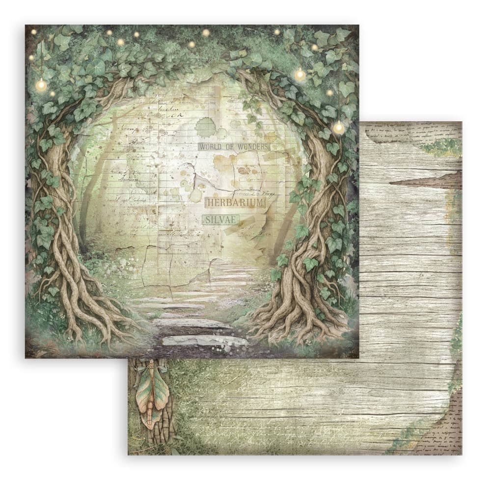 Scrapbookingpapper - Backgrounds - Herbarium Silvae - 10 - Stamperia - Tidformera