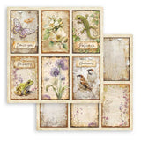 Scrapbookingpapper - Double faced - All Around - 31 - Stamperia - Tidformera