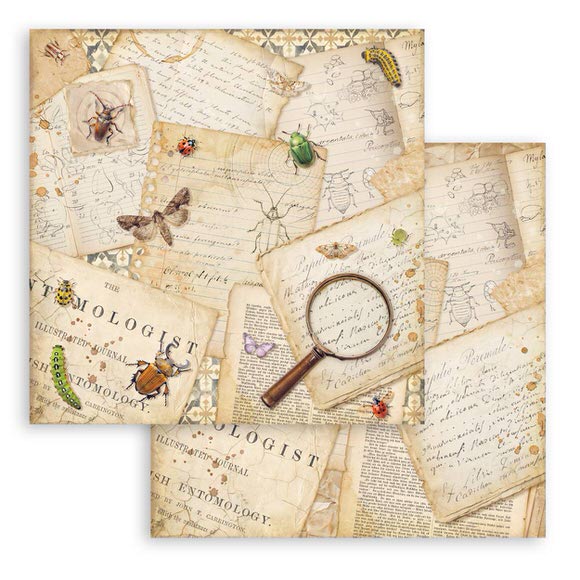 Scrapbookingpapper - Double faced - All Around - 13 - Stamperia - Tidformera