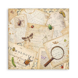Scrapbookingpapper - Double faced - All Around - 14 - Stamperia - Tidformera