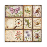 Scrapbookingpapper - Double faced - All Around - 29 - Stamperia - Tidformera
