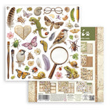 Scrapbookingpapper - Double faced - All Around - 35 - Stamperia - Tidformera
