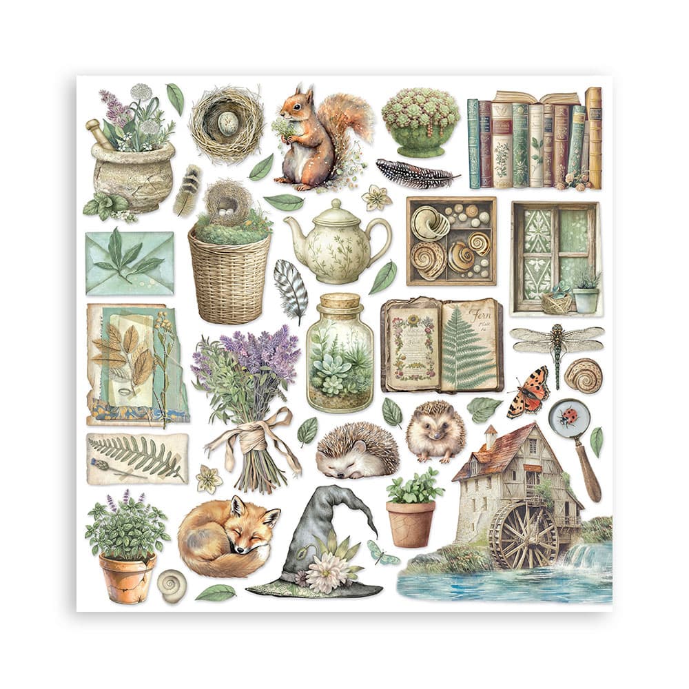 Scrapbookingpapper - Herbarium Silvae - Double faced - 11 - Stamperia - Tidformera