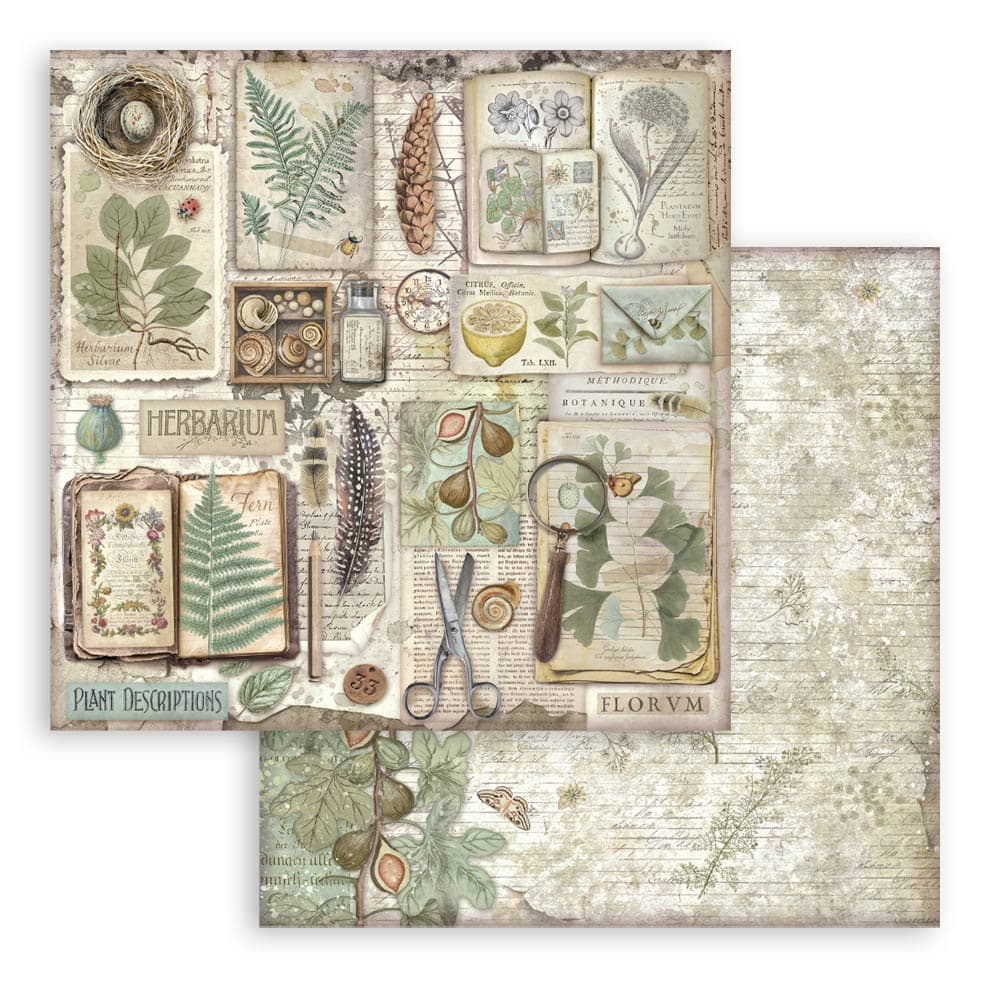 Scrapbookingpapper - Herbarium Silvae - Double faced - 7 - Stamperia - Tidformera