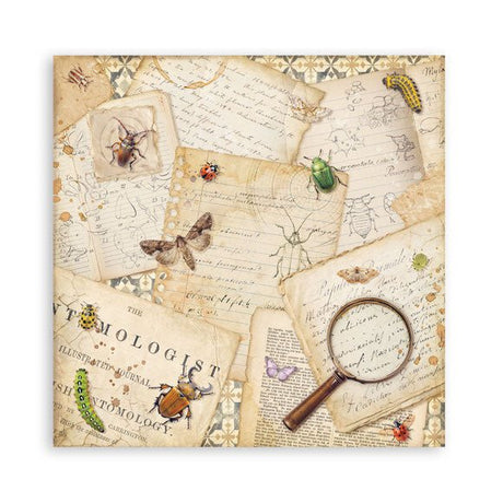 Scrapbookingpapper - Maxi Pad - All Around - 9 - Stamperia - Tidformera