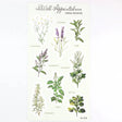Stickers - Herbal Remedies - 1 - The Well-Appointed Desk - Tidformera