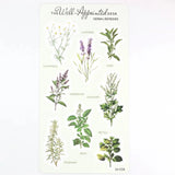 Stickers - Herbal Remedies - 1 - The Well-Appointed Desk - Tidformera