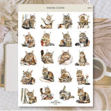 Stickers Plan & Plot Studio Vinyl - Maine coon - 1 - Plan & Plot Studio - Tidformera