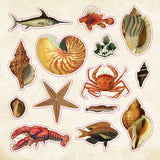 The sticker book of Curiosities! - 7 - Peter Pauper Press - Tidformera