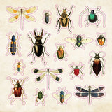 The sticker book of Curiosities! - 11 - Peter Pauper Press - Tidformera
