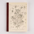Tomitaro Makino: Hobonichi Graph Notebook (A5) - Yamazakura - 2027 - 1 - Hobonichi Techo - Tidformera