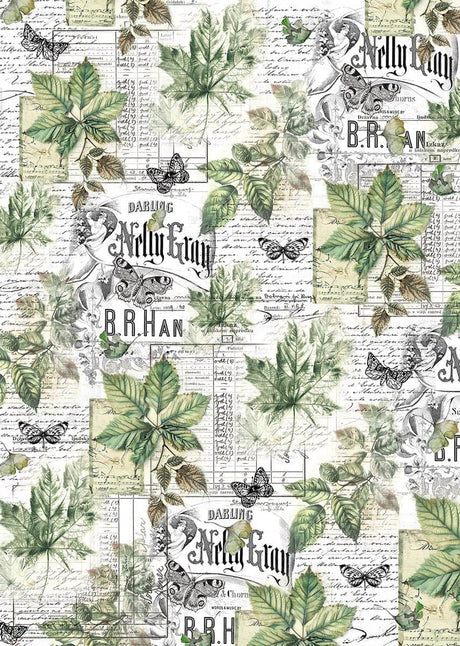 Vellum Paper A4 - Cabinet of Curiosities - 6 - pack - 6 - Ciao Bella - Tidformera