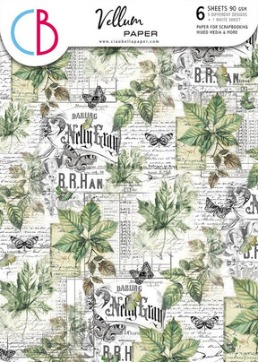 Vellum Paper A4 - Cabinet of Curiosities - 6 - pack - 1 - Ciao Bella - Tidformera