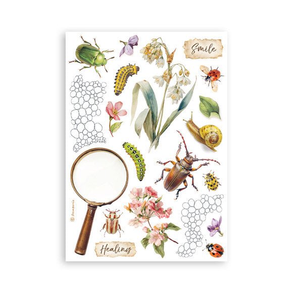 Washi pad - All Around - 2 - Stamperia - Tidformera