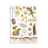 Washi pad - All Around - 7 - Stamperia - Tidformera