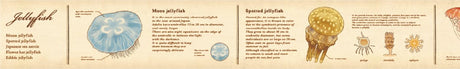 Washi Tape Encyclopedia - Jellyfish - 3 - MT masking tape - Tidformera