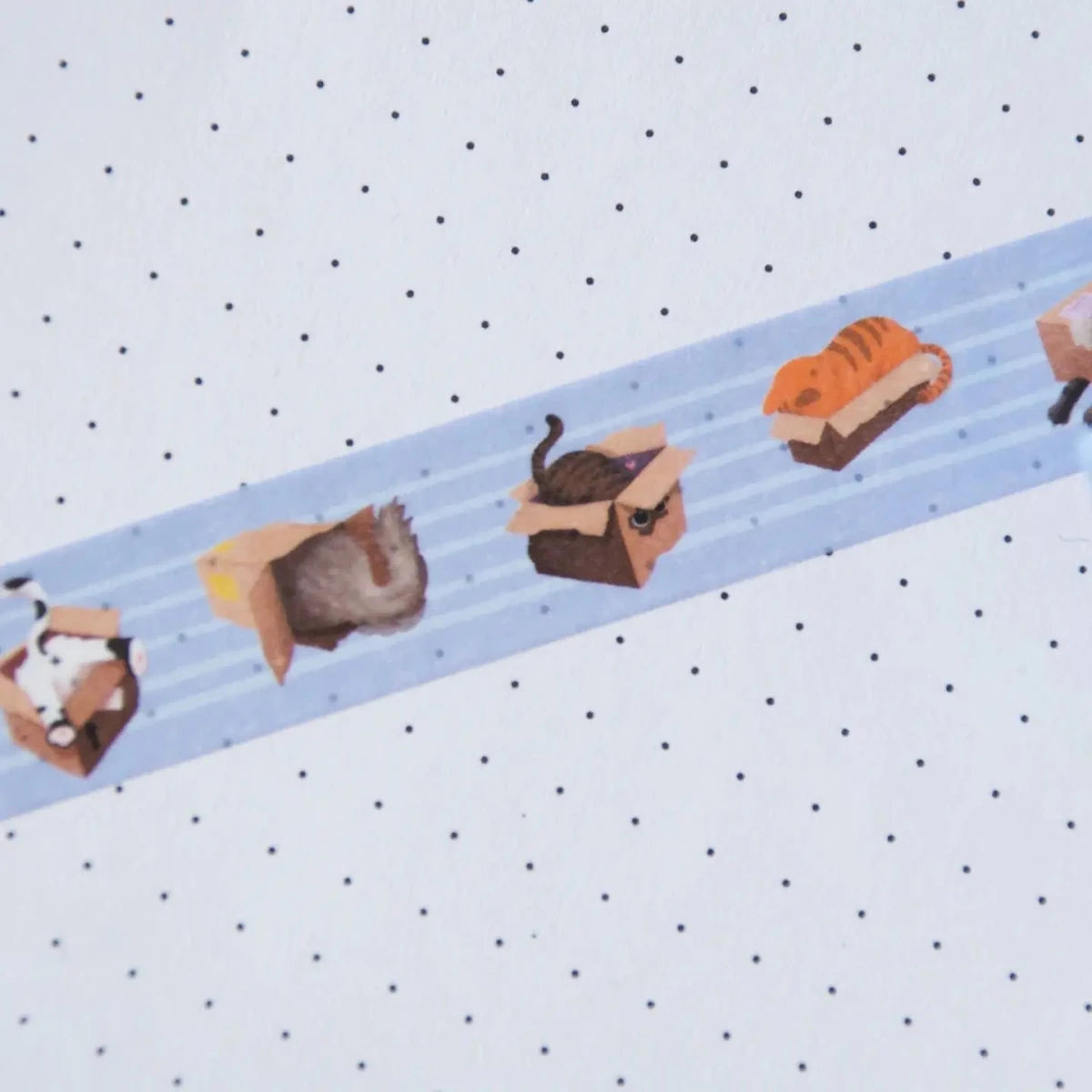 Washi tape Hop & Flop - Cat in Box - 2 - Hop & Flop - Tidformera