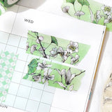 Washi tape Margin - Green - 2 - BGM - Tidformera