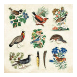 Zoological Ephemera - Sticker book - 4 - Peter Pauper Press - Tidformera